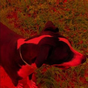 Meet your Posher, Jeremy